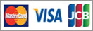 payment-visa1
